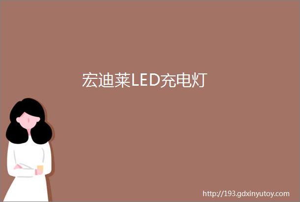 宏迪莱LED充电灯